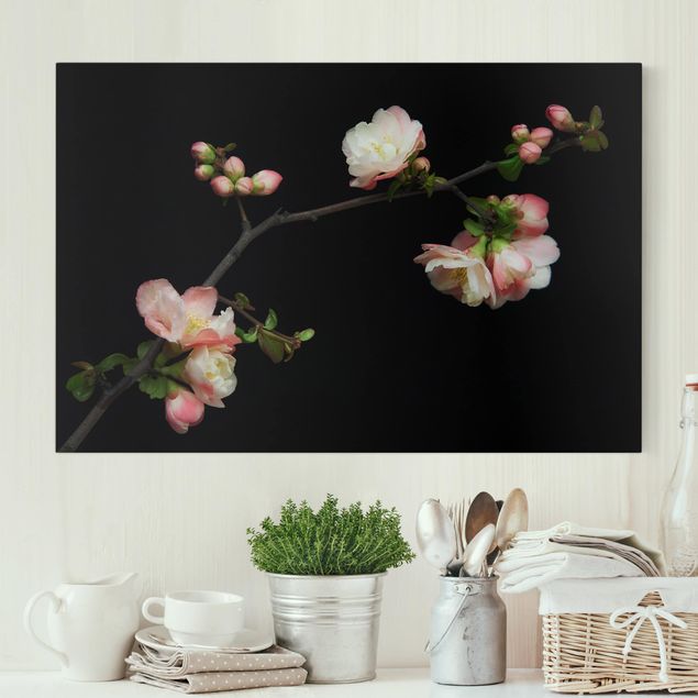 Küche Dekoration Blütenzweig Apfelbaum