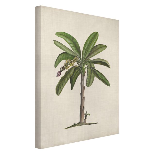Wandbilder Floral Britische Palmen II