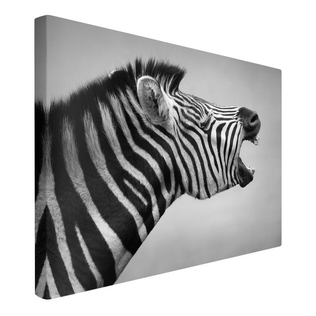 Leinwand schwarz-weiß Brüllendes Zebra II