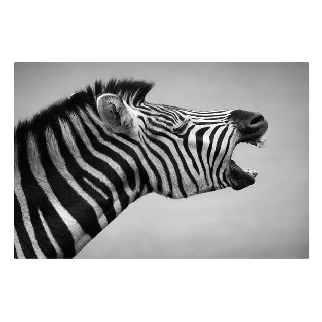 Leinwandbilder Tiere Brüllendes Zebra II