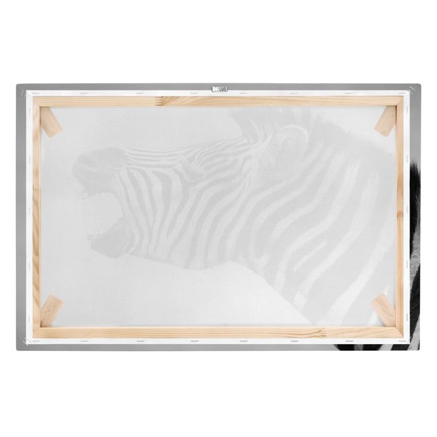 Wandbilder Schwarz-Weiß Brüllendes Zebra II
