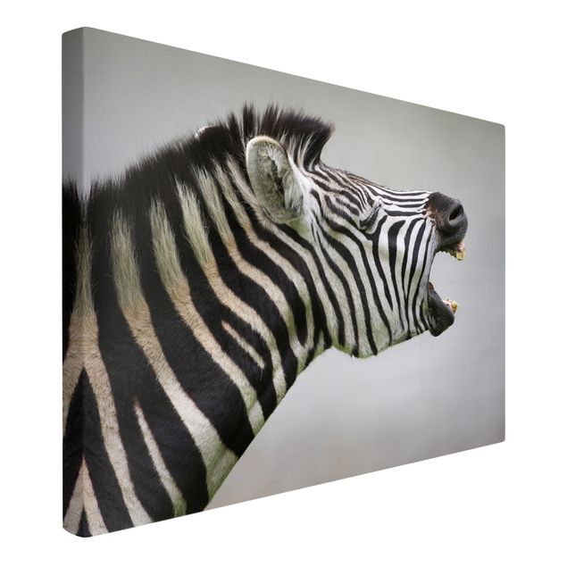 Leinwandbilder Tiere Brüllendes Zebra