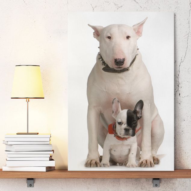 Wandbilder Hunde Bull Terrier and Friend
