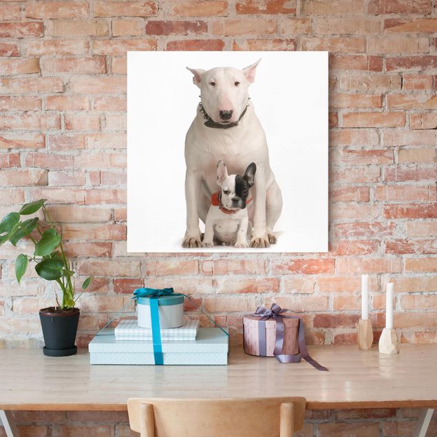 Wandbilder Hunde Bull Terrier and friend