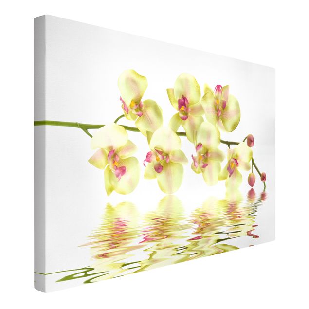 Blumenbilder auf Leinwand Dreamy Orchid Waters