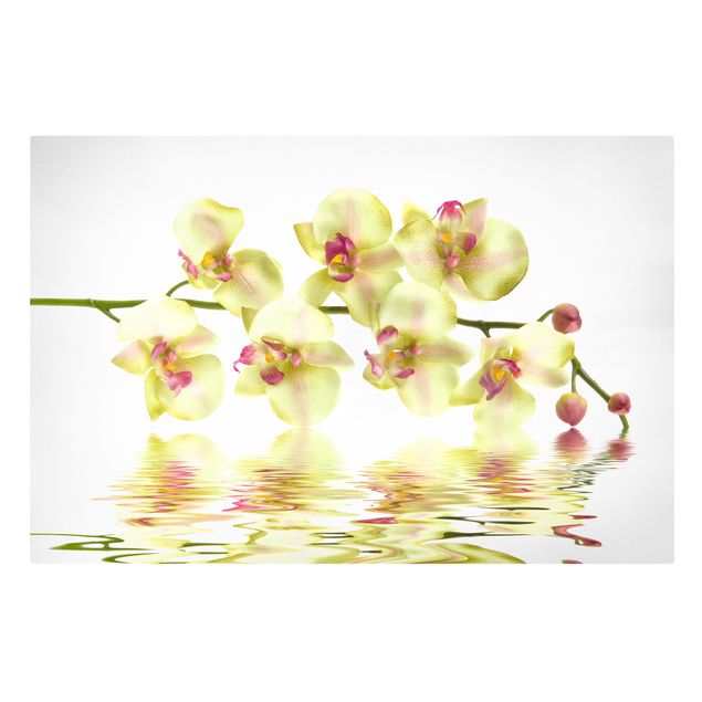 Wandbilder Floral Dreamy Orchid Waters