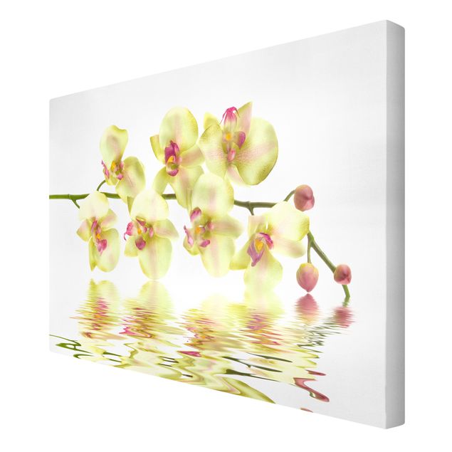 Wandbilder Blumen Dreamy Orchid Waters
