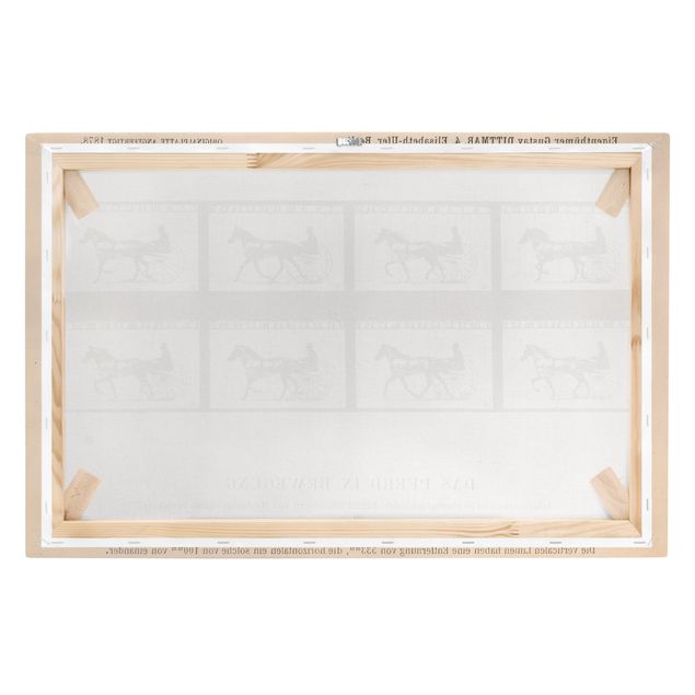 Vintage Leinwandbilder Eadweard Muybridge - Das Pferd in Bewegung