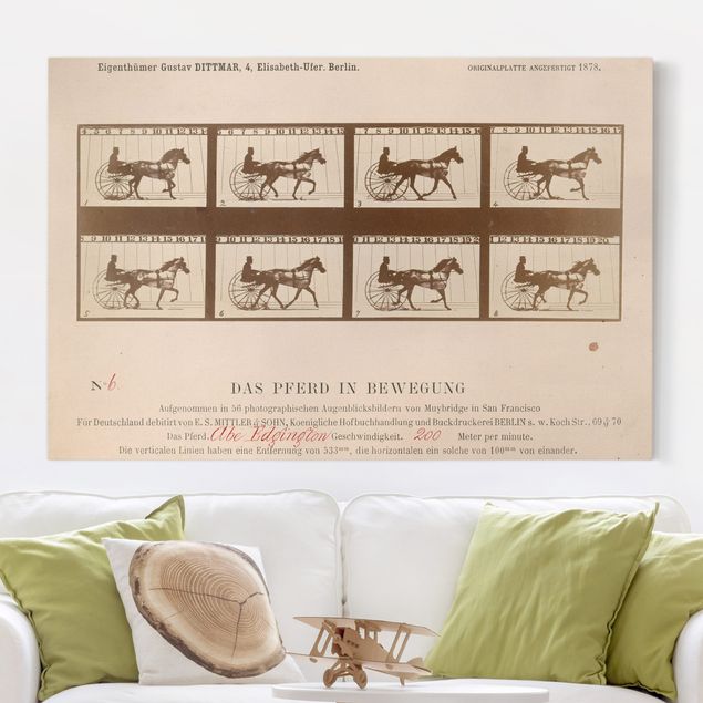 Wanddeko Küche Eadweard Muybridge - Das Pferd in Bewegung