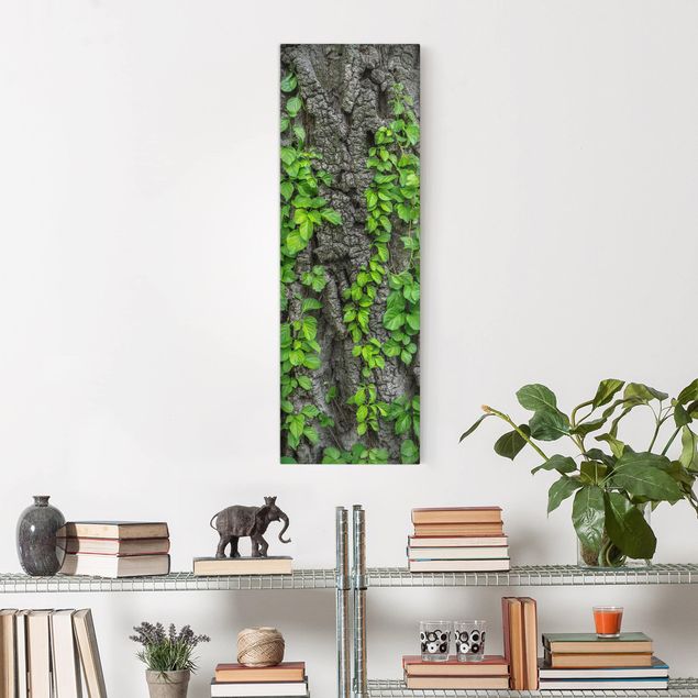 Wandbilder Landschaften Efeuranken Baumrinde