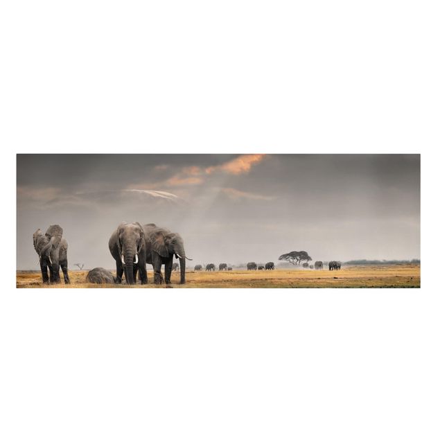 Wandbilder Landschaften Elefanten der Savanne