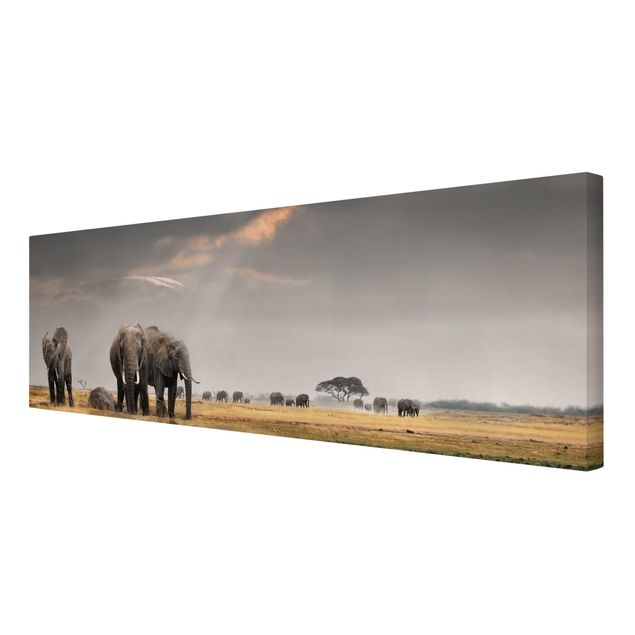 Leinwandbilder Naturmotive Elefanten der Savanne