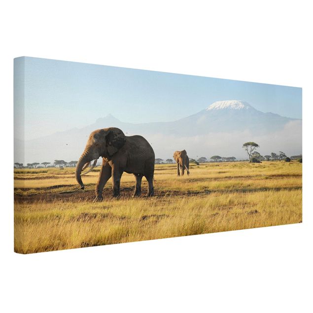 Leinwandbild Afrika Elefanten vor dem Kilimanjaro in Kenya