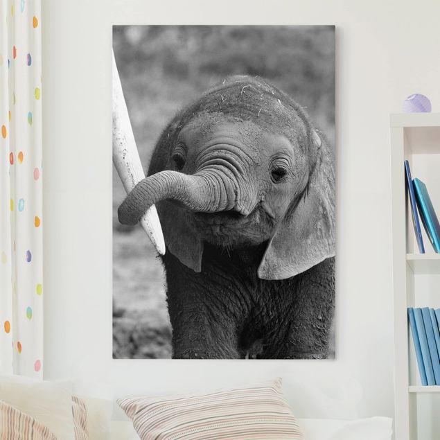 Leinwandbild Elefant Elefantenbaby