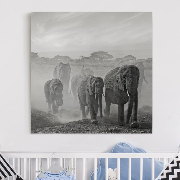 Leinwandbild Elefant Elefantenherde