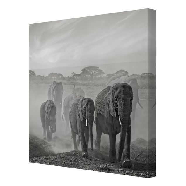 Leinwandbilder Naturmotive Elefantenherde