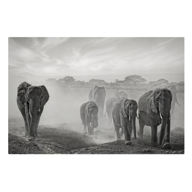 Leinwand schwarz-weiß Elefantenherde