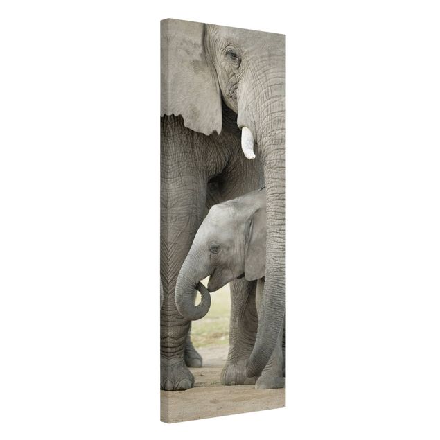 Leinwandbilder Tiere Elefantenliebe
