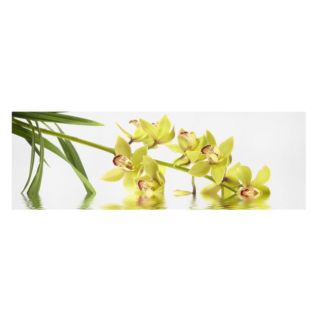 Leinwandbilder Blumen Elegant Orchid Waters