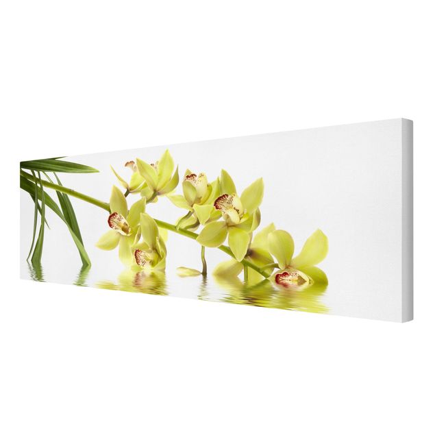 Wandbilder Floral Elegant Orchid Waters