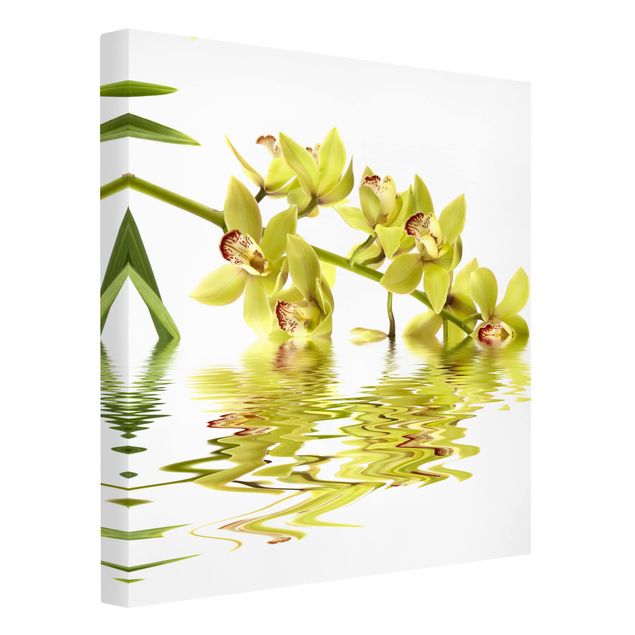 Leinwand Schmetterling Elegant Orchid Waters