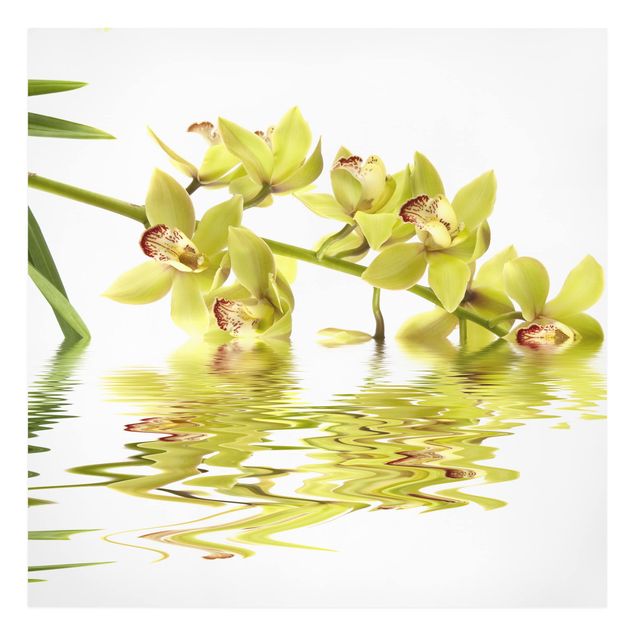 Leinwandbilder Blumen Elegant Orchid Waters