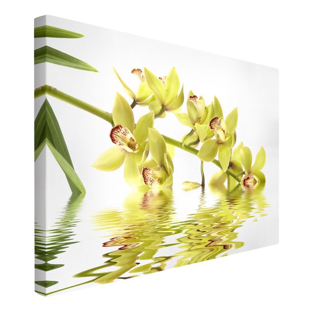Schmetterlinge Leinwand Elegant Orchid Waters