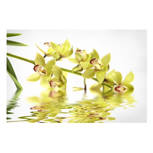 Blumenbilder auf Leinwand Elegant Orchid Waters