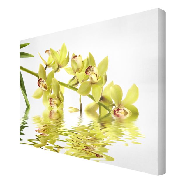 Wandbilder Floral Elegant Orchid Waters