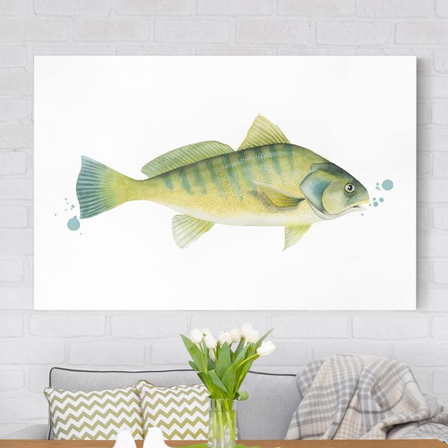 Leinwandbild Fisch Farbfang - Flussbarsch