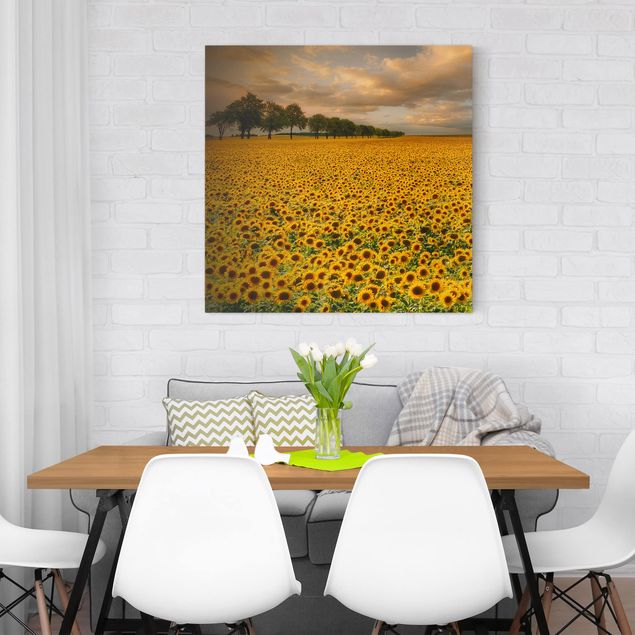 Küchen Deko Feld mit Sonnenblumen