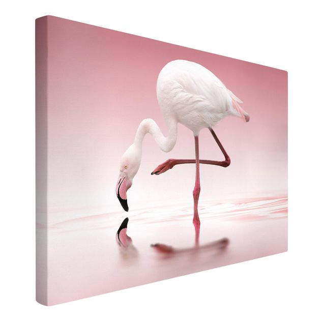 Tierbilder Leinwand Flamingo Dance