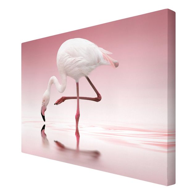 Wandbilder Rosa Flamingo Dance