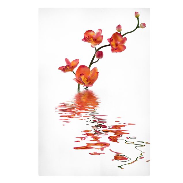 Wandbilder Floral Flamy Orchid Waters