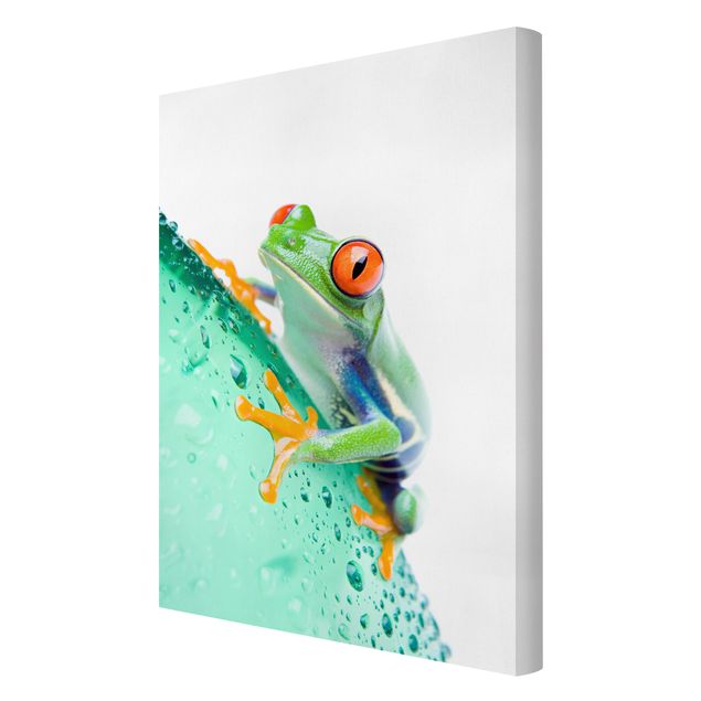 Wandbilder Frog