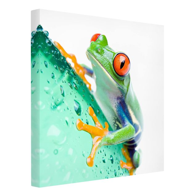 Wandbilder Modern Frog