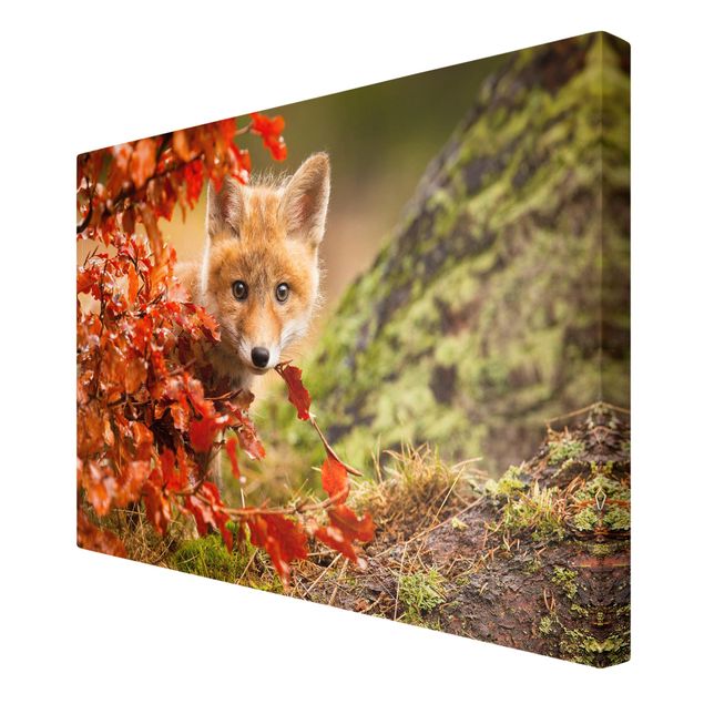 Leinwandbilder Tiere Fuchs im Herbst