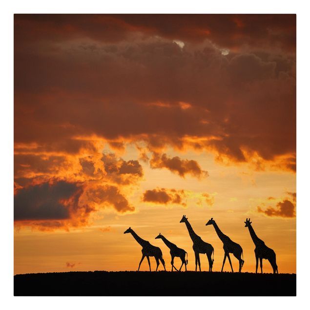 Leinwandbild Sonnenuntergang Fünf Giraffen
