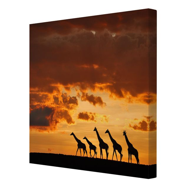 Wandbilder Landschaften Fünf Giraffen