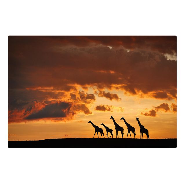 Leinwand Sonnenuntergang Fünf Giraffen