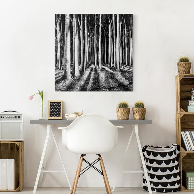 Wandbilder Bäume Geisterwald