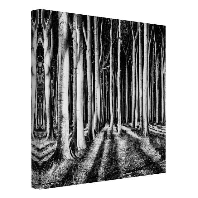 Leinwandbilder schwarz-weiß Geisterwald