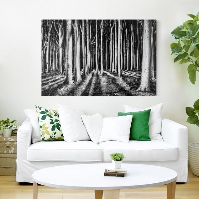 Wandbilder Bäume Geisterwald