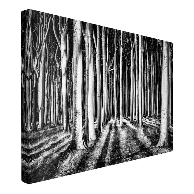Leinwandbilder schwarz-weiß Geisterwald
