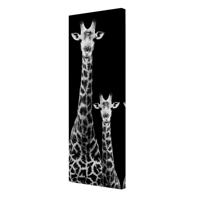 Leinwandbilder schwarz-weiß Giraffen Duo schwarz-weiß
