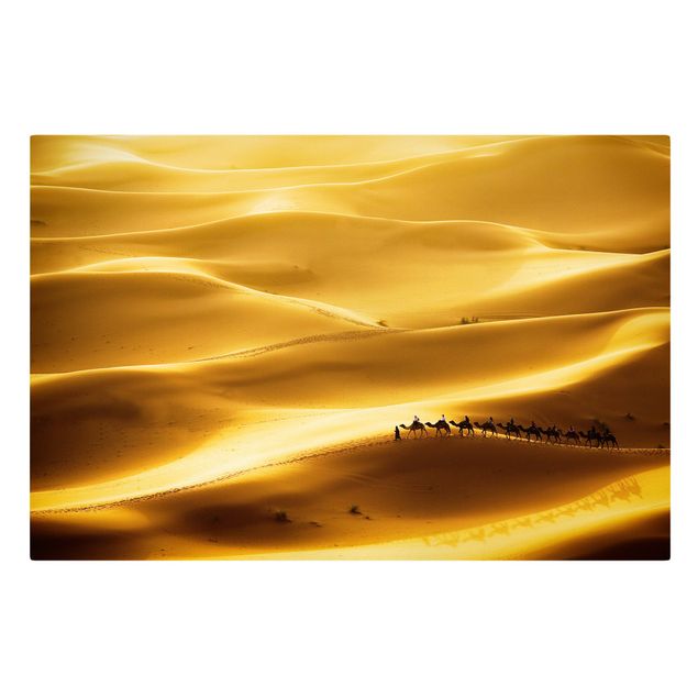 Leinwandbilder Naturmotive Golden Dunes