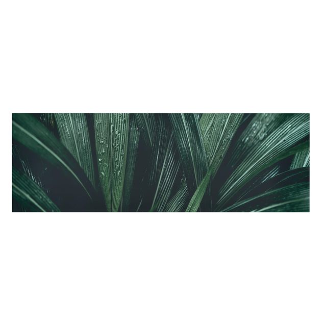 Wandbilder Grün Grüne Palmenblätter