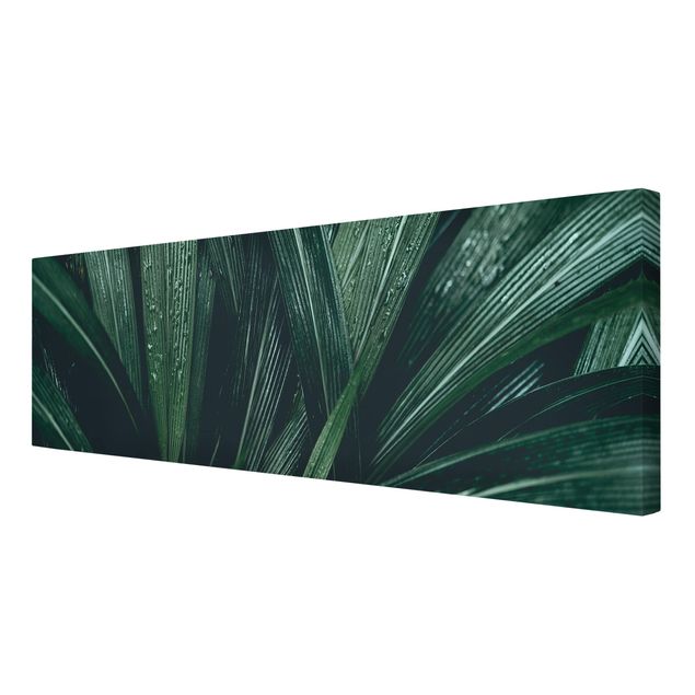 Wandbilder Grüne Palmenblätter