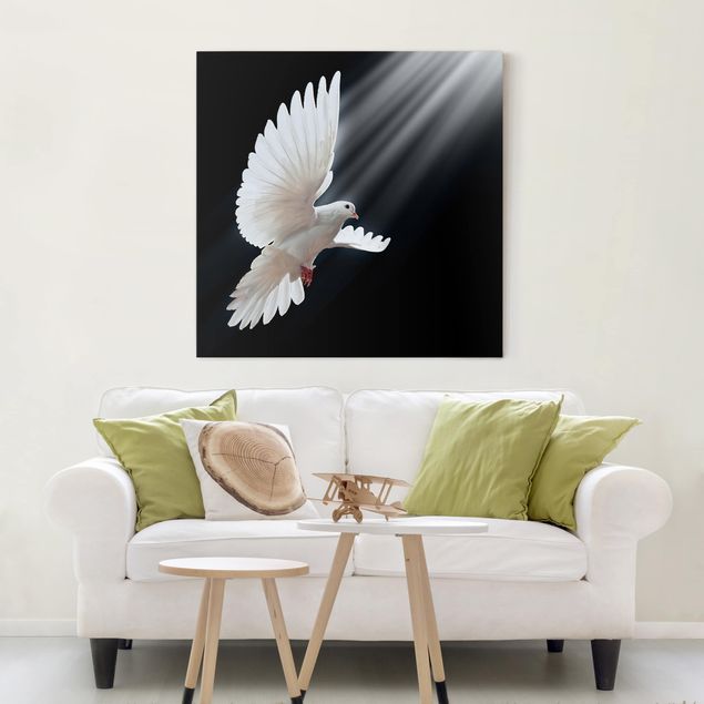 Leinwandbilder Vögel Holy Dove