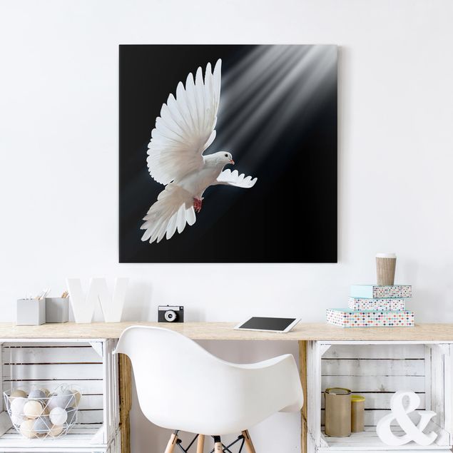 schwarz-weiß Bilder auf Leinwand Holy Dove